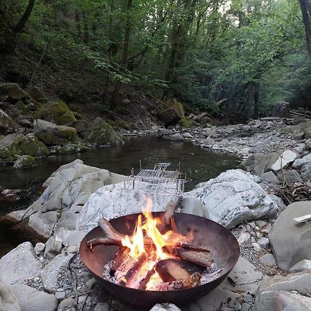 Senxunia Glamping Nel Bosco Hotel Zancona Ngoại thất bức ảnh
